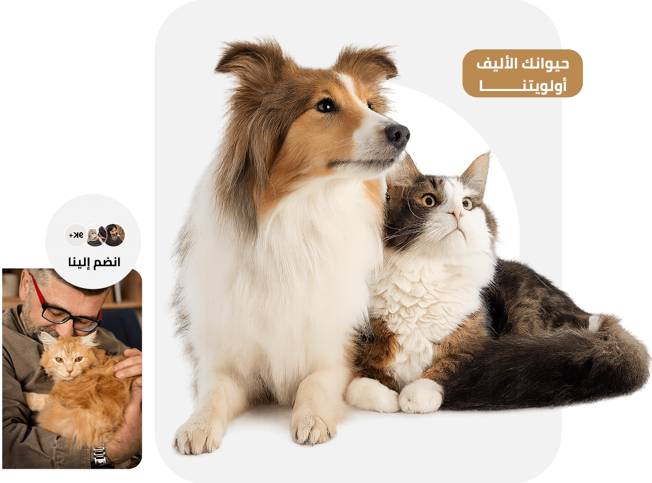 صورة رانوفا الرئيسية